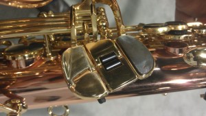 senzalhpinky