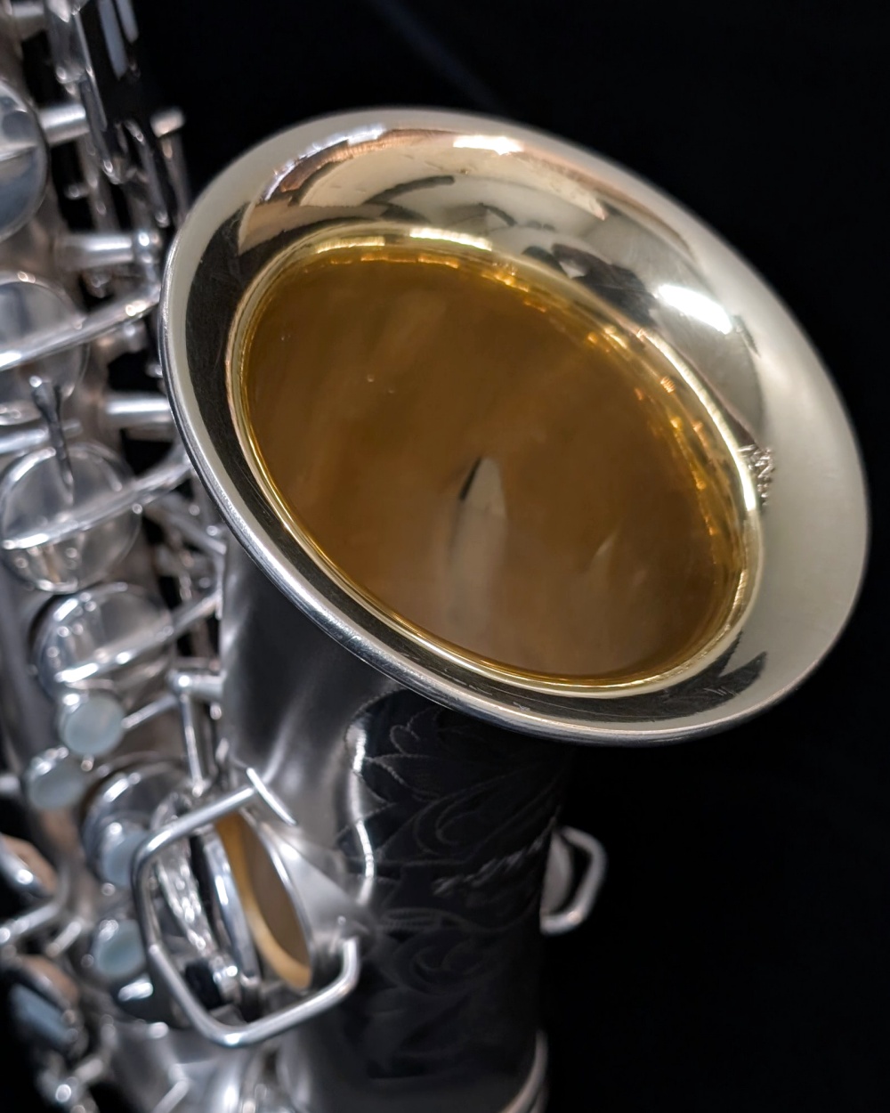 1927 Vintage Conn New Wonder II (Chu Berry) Alto Sax - Overhauled - Goldwash
