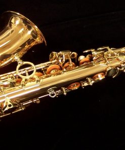 AWO2 - Yanagisawa Professional Bronze Alto Sax