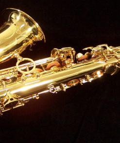 AWO10 - Yanagisawa Elite Series Alto Sax