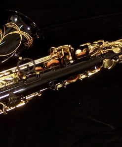 AWO10B - Yanagisawa Elite Series Black Alto Sax