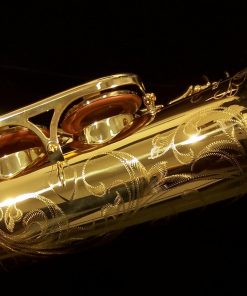 AWO10 - Yanagisawa Elite Series Alto Sax