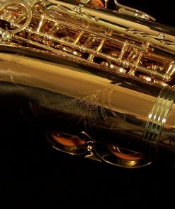 AWO2 - Yanagisawa Professional Bronze Alto Sax