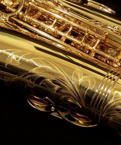 AWO10 - Yanagisawa Elite Series Alto Sax
