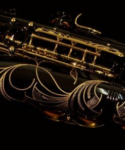 AWO10B - Yanagisawa Elite Series Black Alto Sax