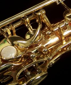 AWO2 - Yanagisawa Professional Bronze Alto Sax