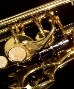 AWO10B - Yanagisawa Elite Series Black Alto Sax
