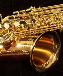 AWO2 - Yanagisawa Professional Bronze Alto Sax