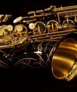 AWO10B - Yanagisawa Elite Series Black Alto Sax