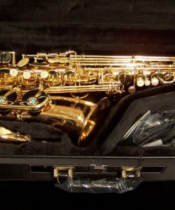 AWO2 - Yanagisawa Professional Bronze Alto Sax
