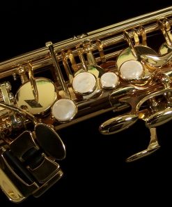 AWO2 - Yanagisawa Professional Bronze Alto Sax