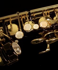 AWO10B - Yanagisawa Elite Series Black Alto Sax