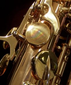 AWO2 - Yanagisawa Professional Bronze Alto Sax