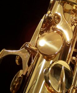AWO10 - Yanagisawa Elite Series Alto Sax