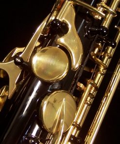AWO10B - Yanagisawa Elite Series Black Alto Sax