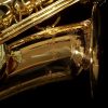 AWO2 - Yanagisawa Professional Bronze Alto Sax