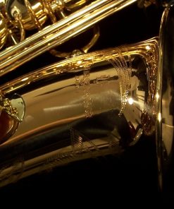 AWO2 - Yanagisawa Professional Bronze Alto Sax