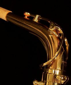 AWO2 - Yanagisawa Professional Bronze Alto Sax