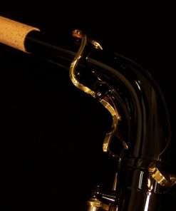 AWO10B - Yanagisawa Elite Series Black Alto Sax