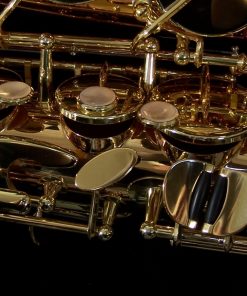 AWO2 - Yanagisawa Professional Bronze Alto Sax