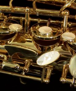 AWO10 - Yanagisawa Elite Series Alto Sax