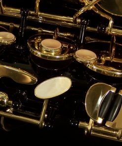 AWO10B - Yanagisawa Elite Series Black Alto Sax