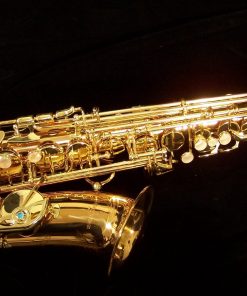 AWO2 - Yanagisawa Professional Bronze Alto Sax