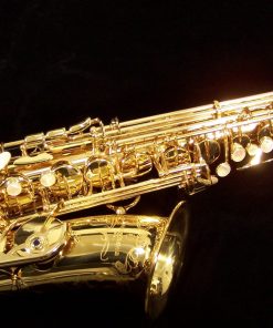 AWO10 - Yanagisawa Elite Series Alto Sax