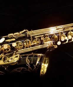 AWO10B - Yanagisawa Elite Series Black Alto Sax