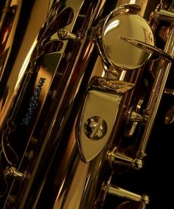 AWO2 - Yanagisawa Professional Bronze Alto Sax