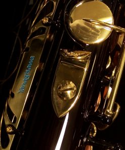 AWO10B - Yanagisawa Elite Series Black Alto Sax