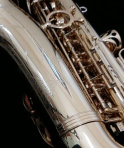 Yanagisawa AWO1 Professional Alto Sax