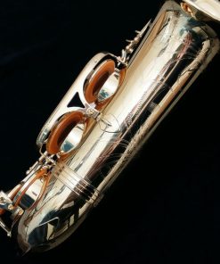Yanagisawa AWO1 Professional Alto Sax