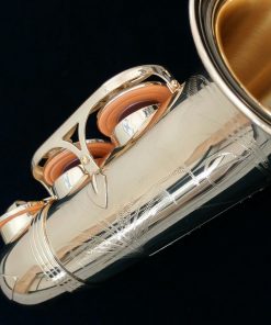 Yanagisawa AWO1 Professional Alto Sax
