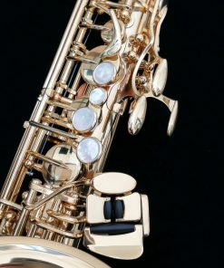 Yanagisawa AWO1 Professional Alto Sax