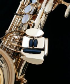 Yanagisawa AWO1 Professional Alto Sax