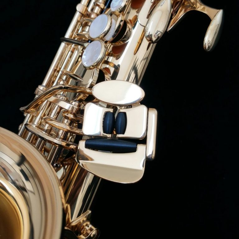Sax contralto Yanagisawa 902 - Strumenti Musicali In vendita a Como Sax contralto Yanagisawa 902 - Strumenti Musicali In vendita a Como