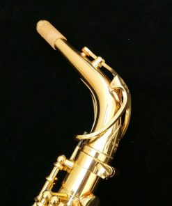 Yanagisawa AWO1 Professional Alto Sax