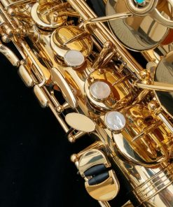 Yanagisawa AWO1 Professional Alto Sax