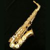Yanagisawa AWO1 Professional Alto Sax