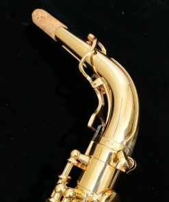Yanagisawa AWO10 Alto Sax - Elite Series