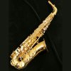 Yanagisawa AWO10 Alto Sax - Elite Series