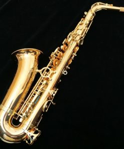 Yanagisawa AWO2 Alto Sax - Professional Bronze Alto Sax