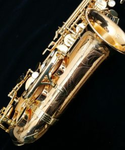 Yanagisawa AWO2 Alto Sax - Professional Bronze Alto Sax