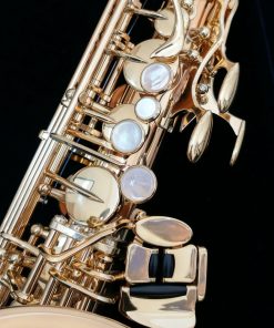 Yanagisawa AWO2 Alto Sax - Professional Bronze Alto Sax