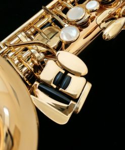 Yanagisawa AWO2 Alto Sax - Professional Bronze Alto Sax