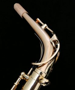 Yanagisawa AWO2 Alto Sax - Professional Bronze Alto Sax