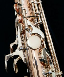Yanagisawa AWO2 Alto Sax - Professional Bronze Alto Sax