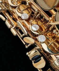 Yanagisawa AWO2 Alto Sax - Professional Bronze Alto Sax