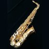 Yanagisawa AWO2 Alto Sax - Professional Bronze Alto Sax